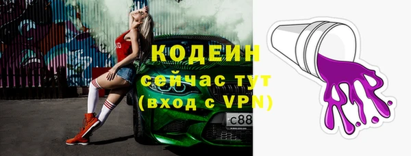 амф Верхний Тагил