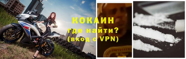 амф Верхний Тагил