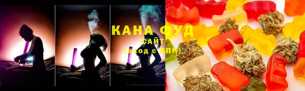 амф Верхний Тагил