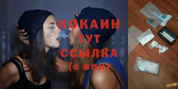 амф Верхний Тагил