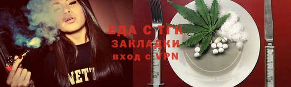 амф Верхний Тагил
