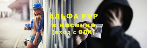 амф Верхний Тагил
