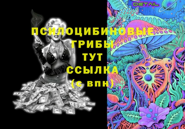 амф Верхний Тагил