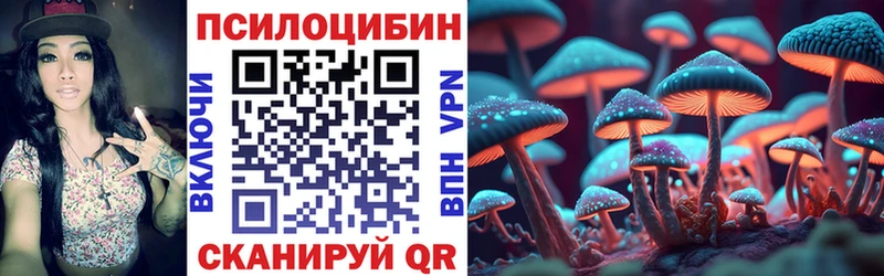 закладки Льгов Псилоцибиновые грибы Cubensis